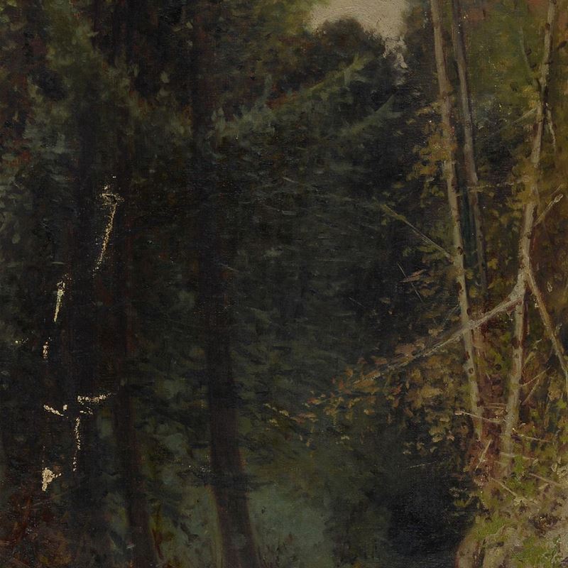 Anonimo, XIX - XX Sec. - Strada nel Bosco