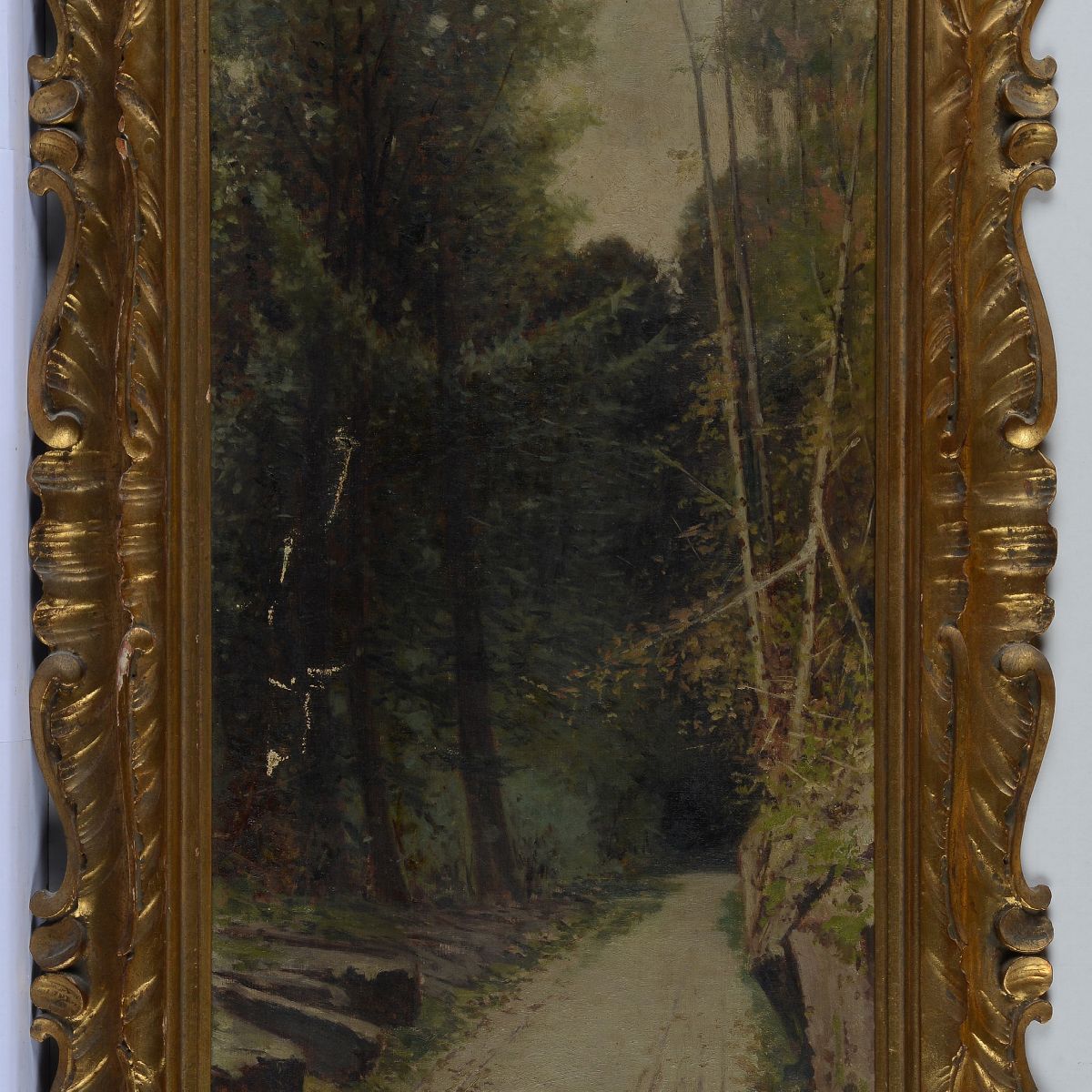 Anonimo, XIX - XX Sec. - Strada nel Bosco