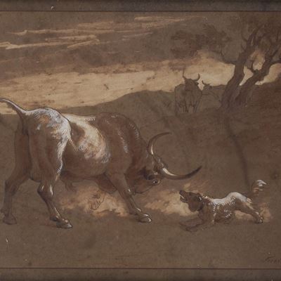 Lotta fra Cane e Toro