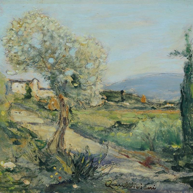 Raul Viviani - Campagna