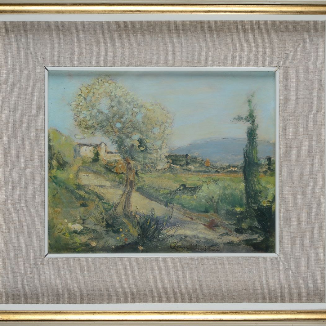 Raul Viviani - Campagna