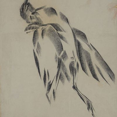 Studio di Uccello