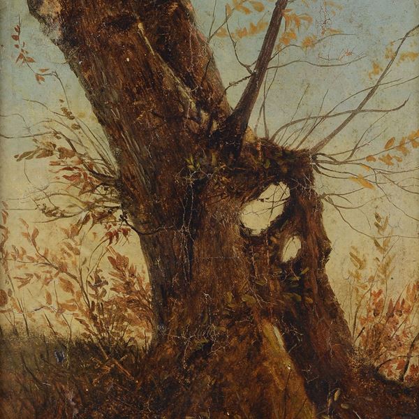 Anonimo, XIX sec. - Tree