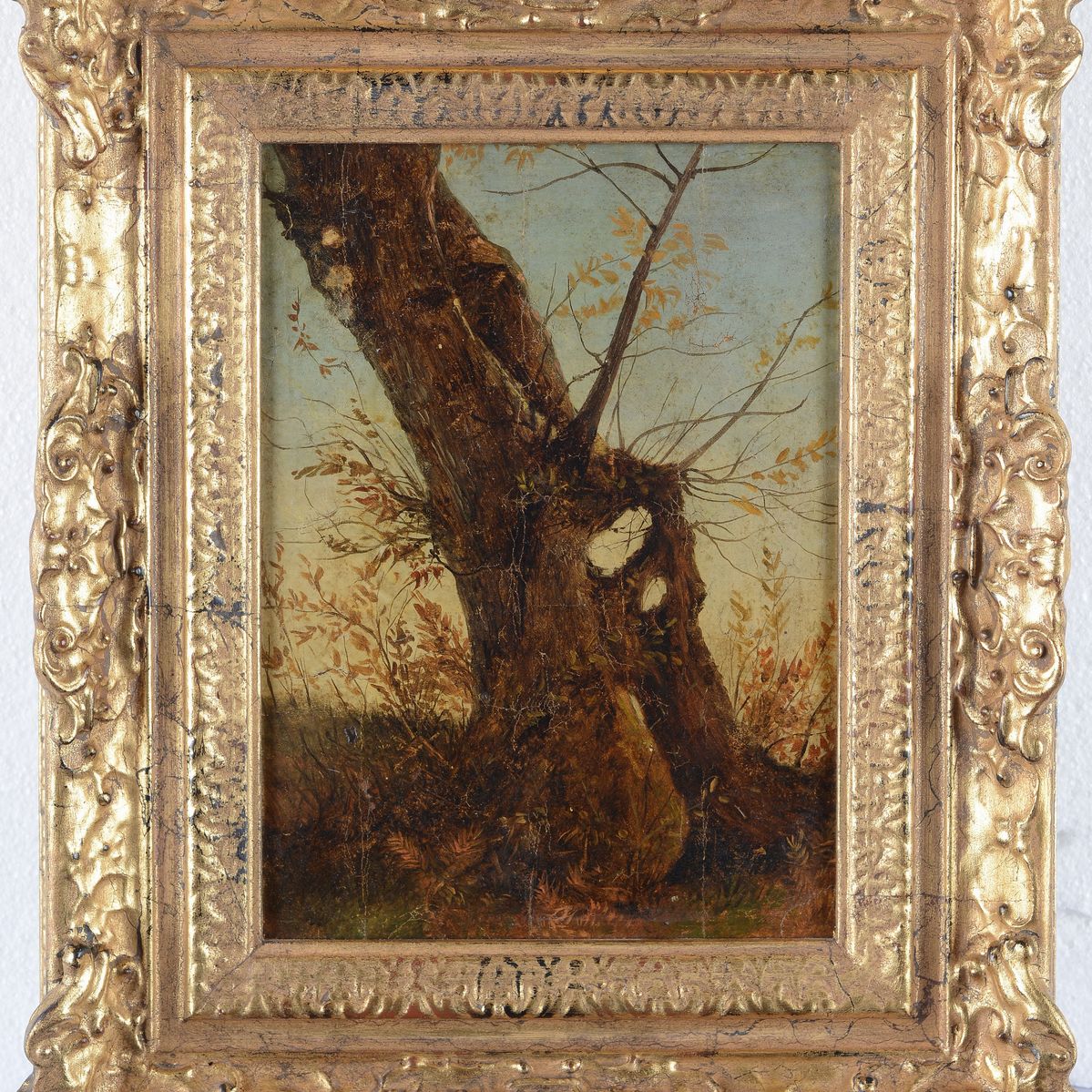 Anonimo, XIX Sec. - Albero