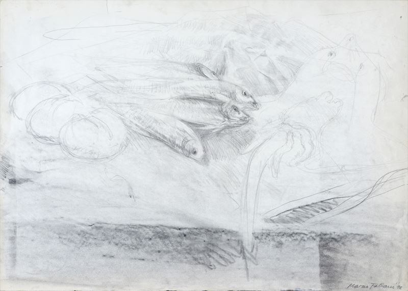 Mario Fallani - Studi