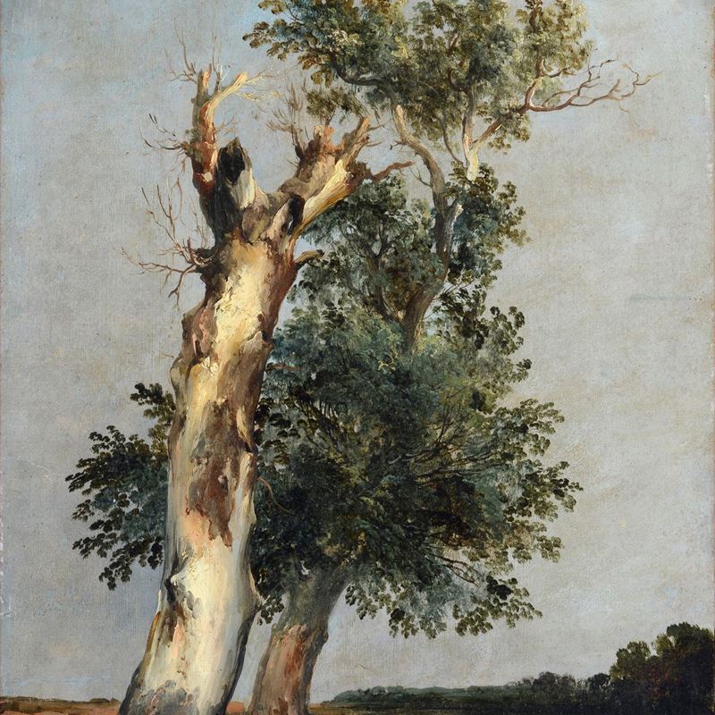 Consalvo Carelli - Albero