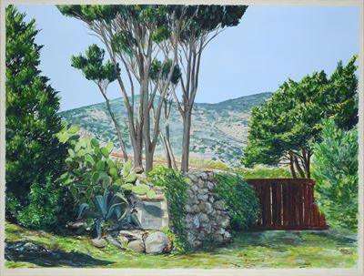 Paesaggio di Capraia