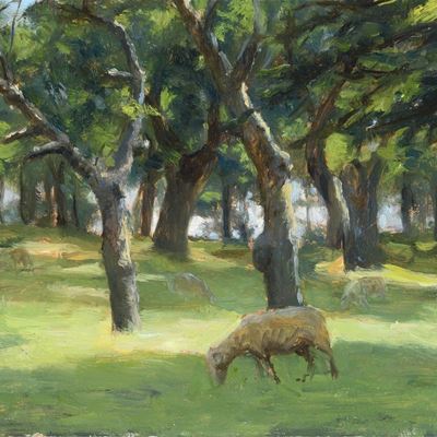 Paesaggio con Pecora