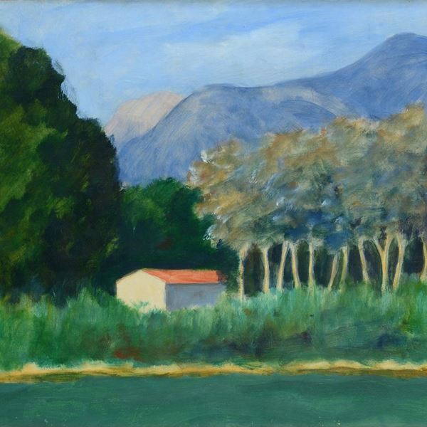Nino Tirinnanzi - House in the woods