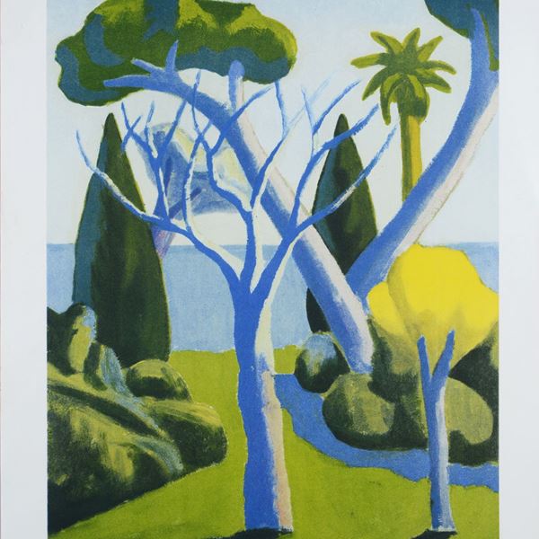 Salvo - Landscape