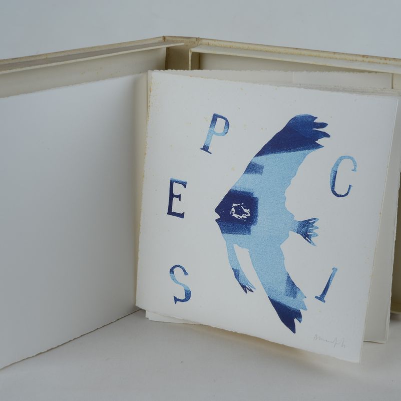 Pesci
