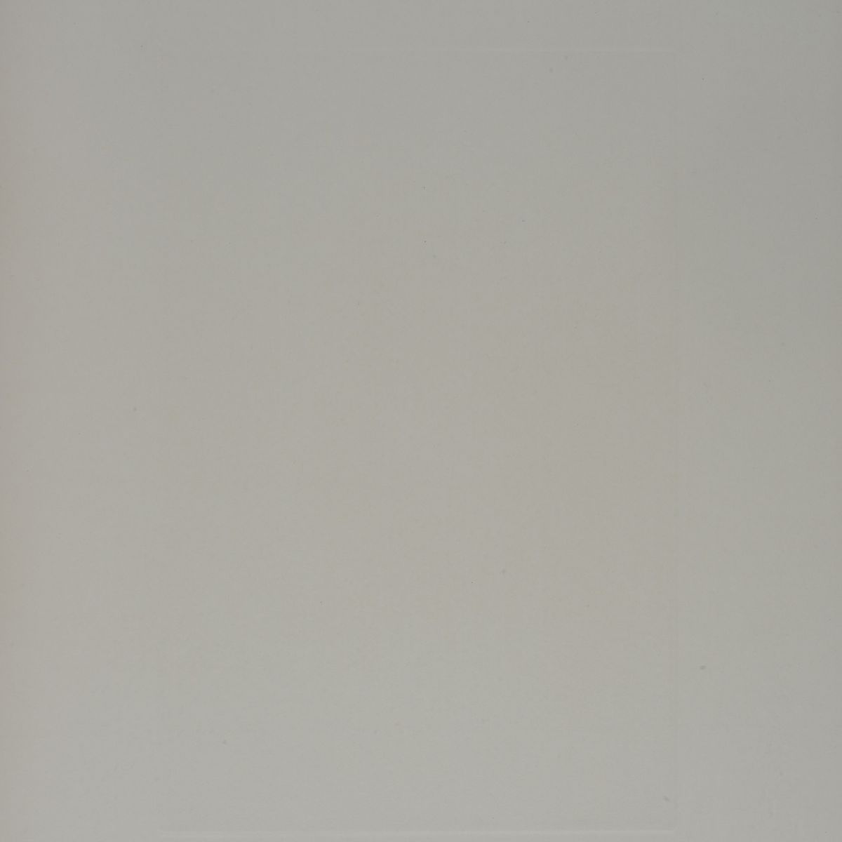 Giorgio Morandi - Fiori in un Cornetto su Fondo Ovoidale