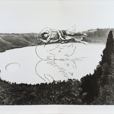L'exil Du Cygne