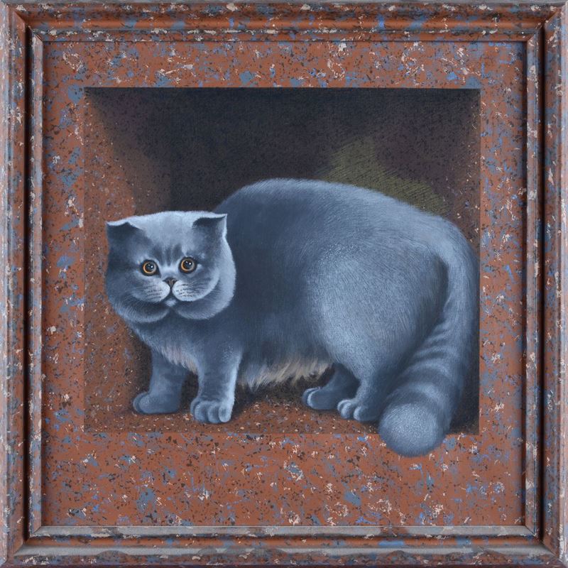 Graziella Marchi - Gatto N. 1