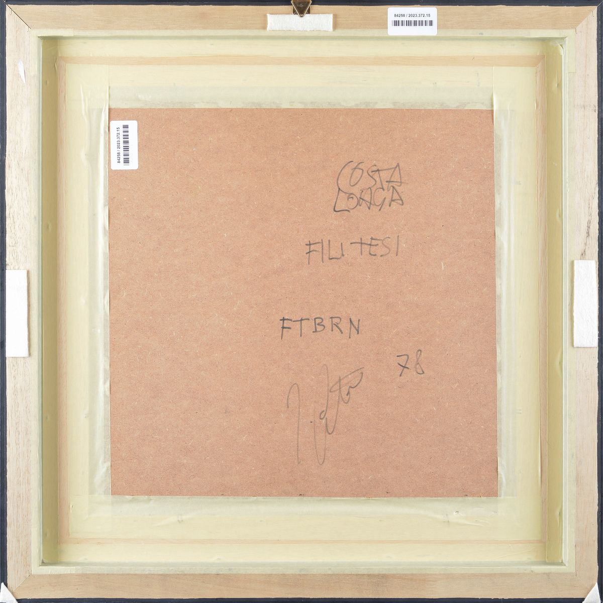Franco Costalonga - Fili Tesi