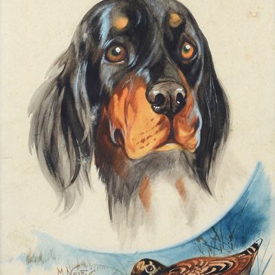 Le Setter Gordon