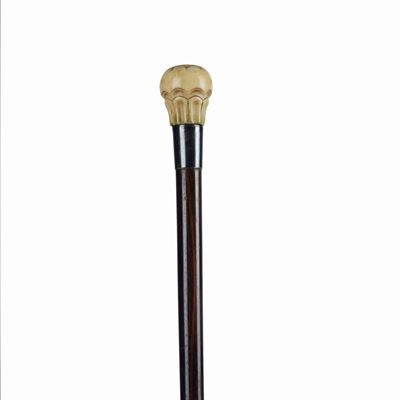 Bastone da Maestra di Musica