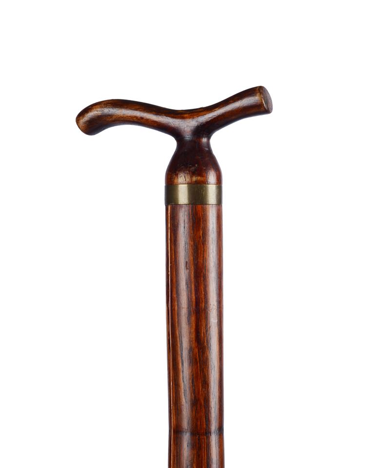 Bastone Violino da Musicista