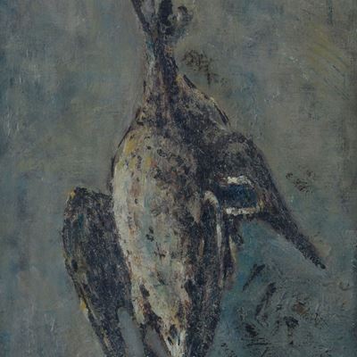 Selvaggina