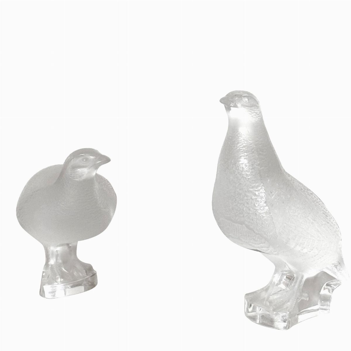 Due Figure di Volatili