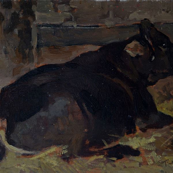 Cafiero Filippelli - Mucca