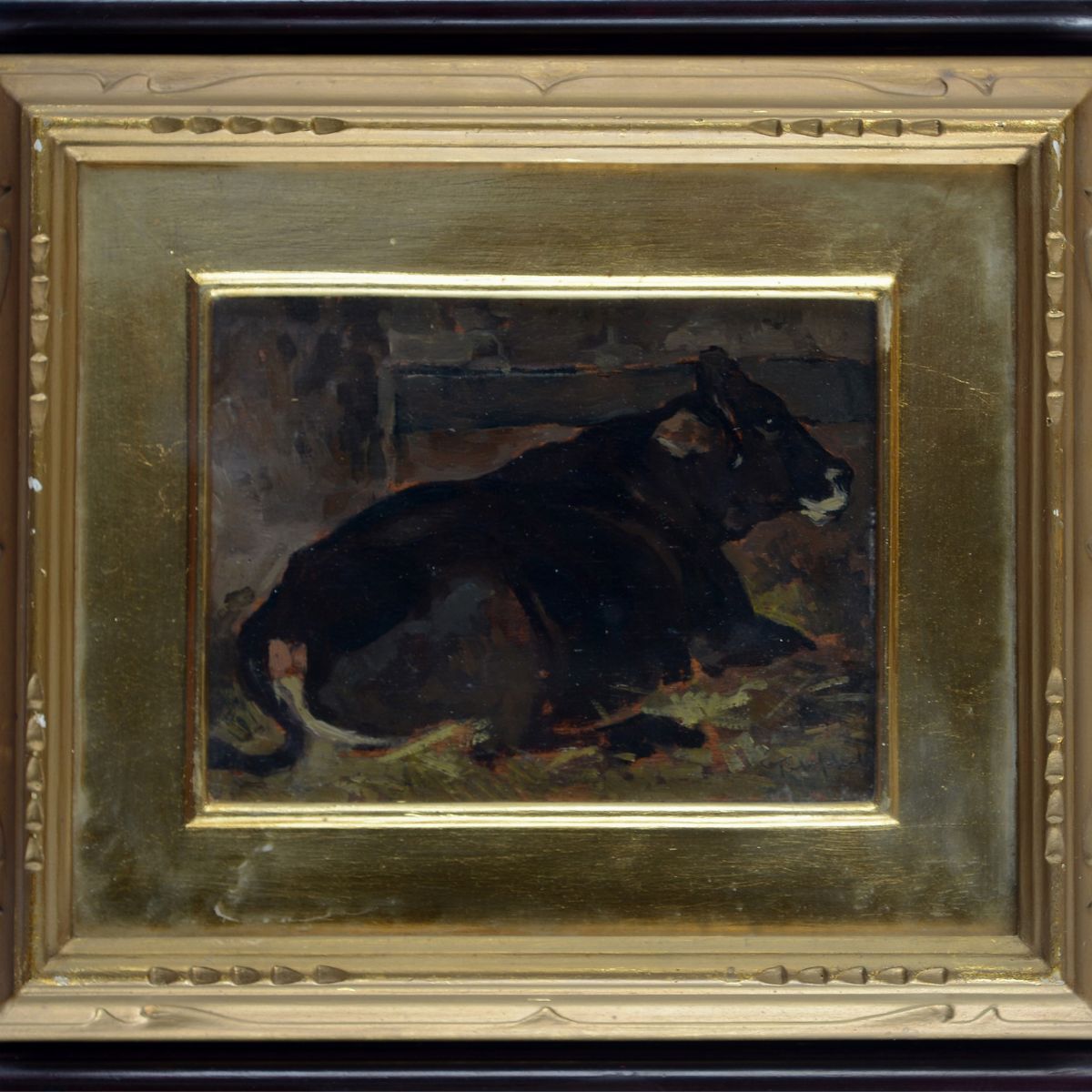 Cafiero Filippelli - Mucca