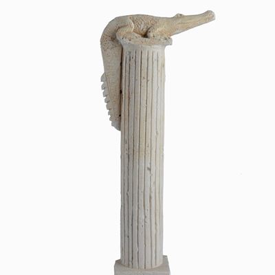 Coccodrillo