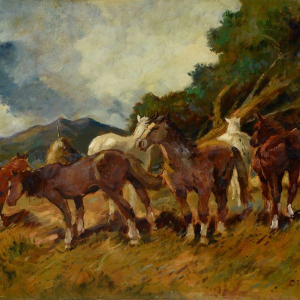 Carlo Domenici - Cavalli