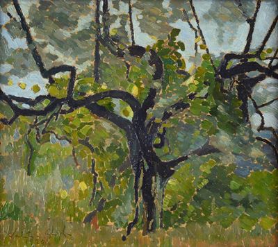 Albero