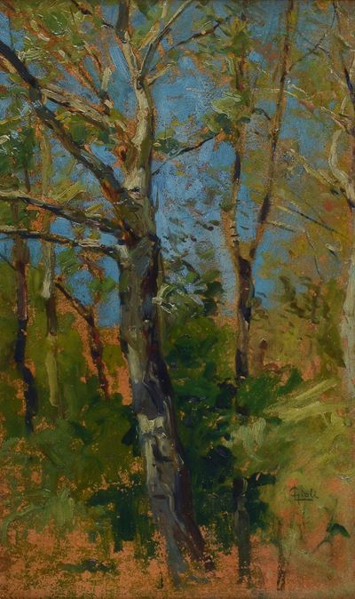 Alberi