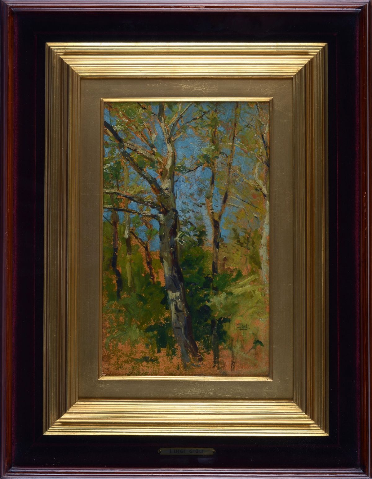 Luigi Gioli - Alberi
