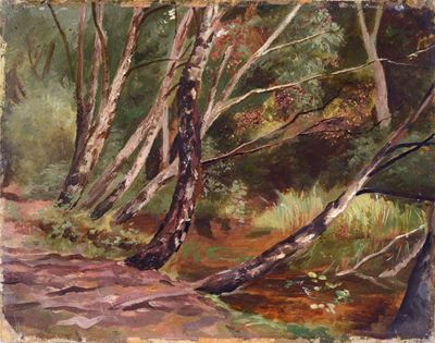 Alberi