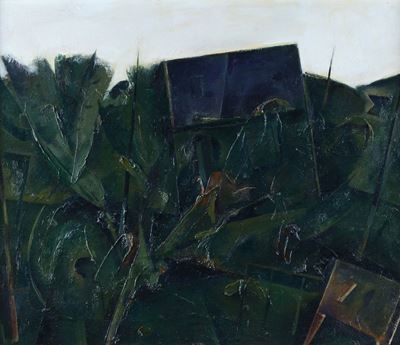 Vegetazione