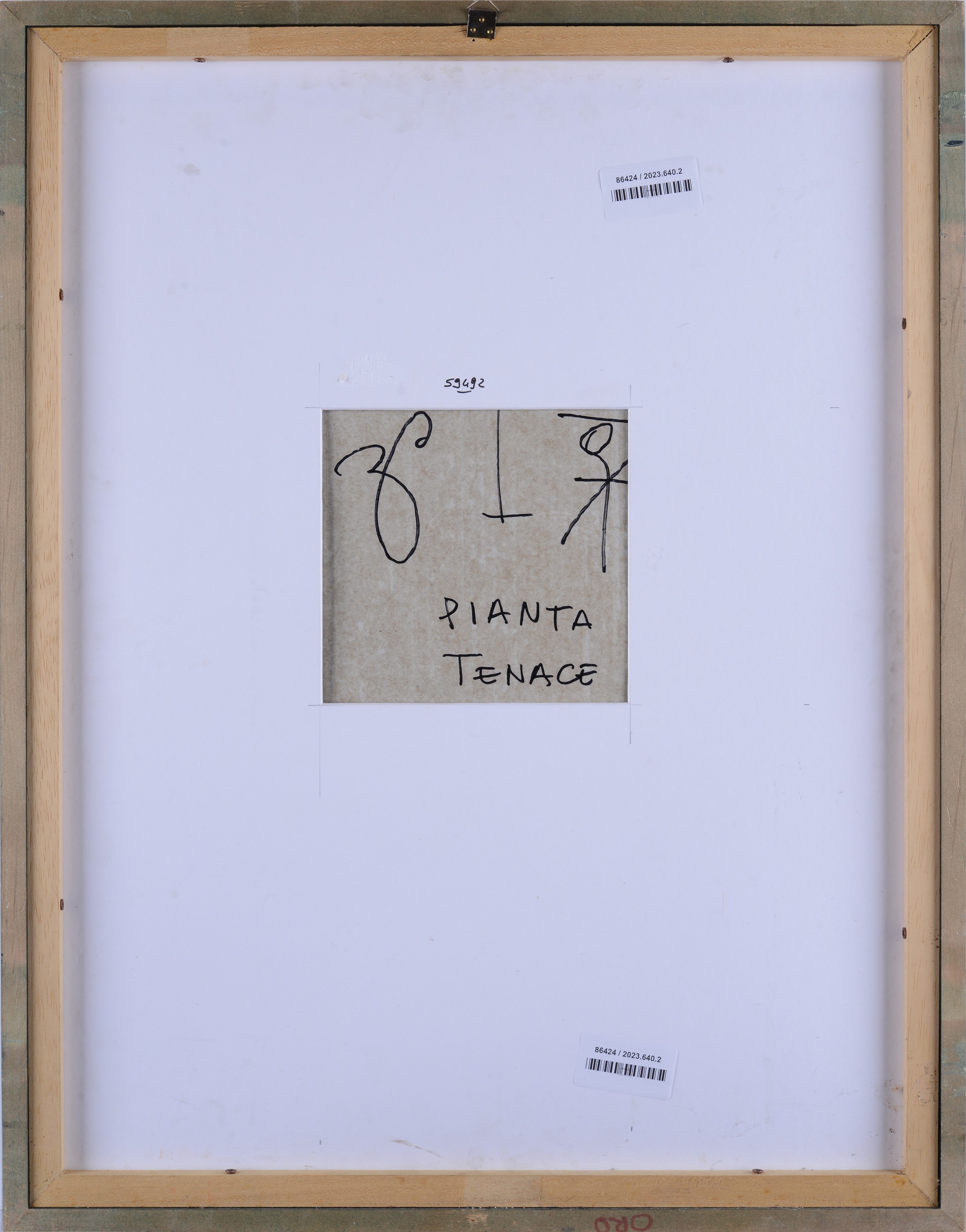 Bruno Ceccobelli - Pianta Tenace