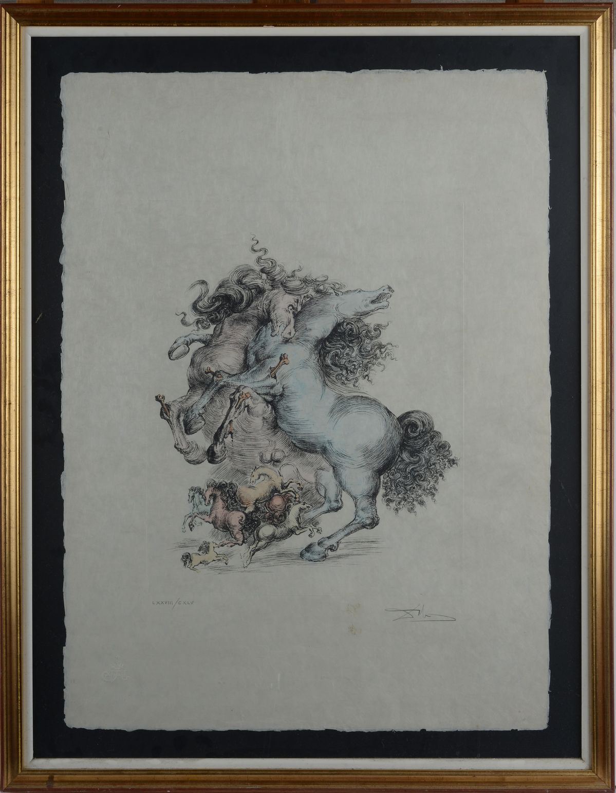 Salvador Dalì - Cavalli