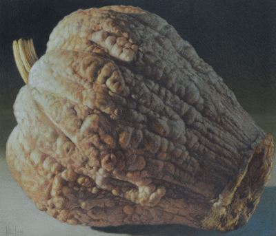 Zucca
