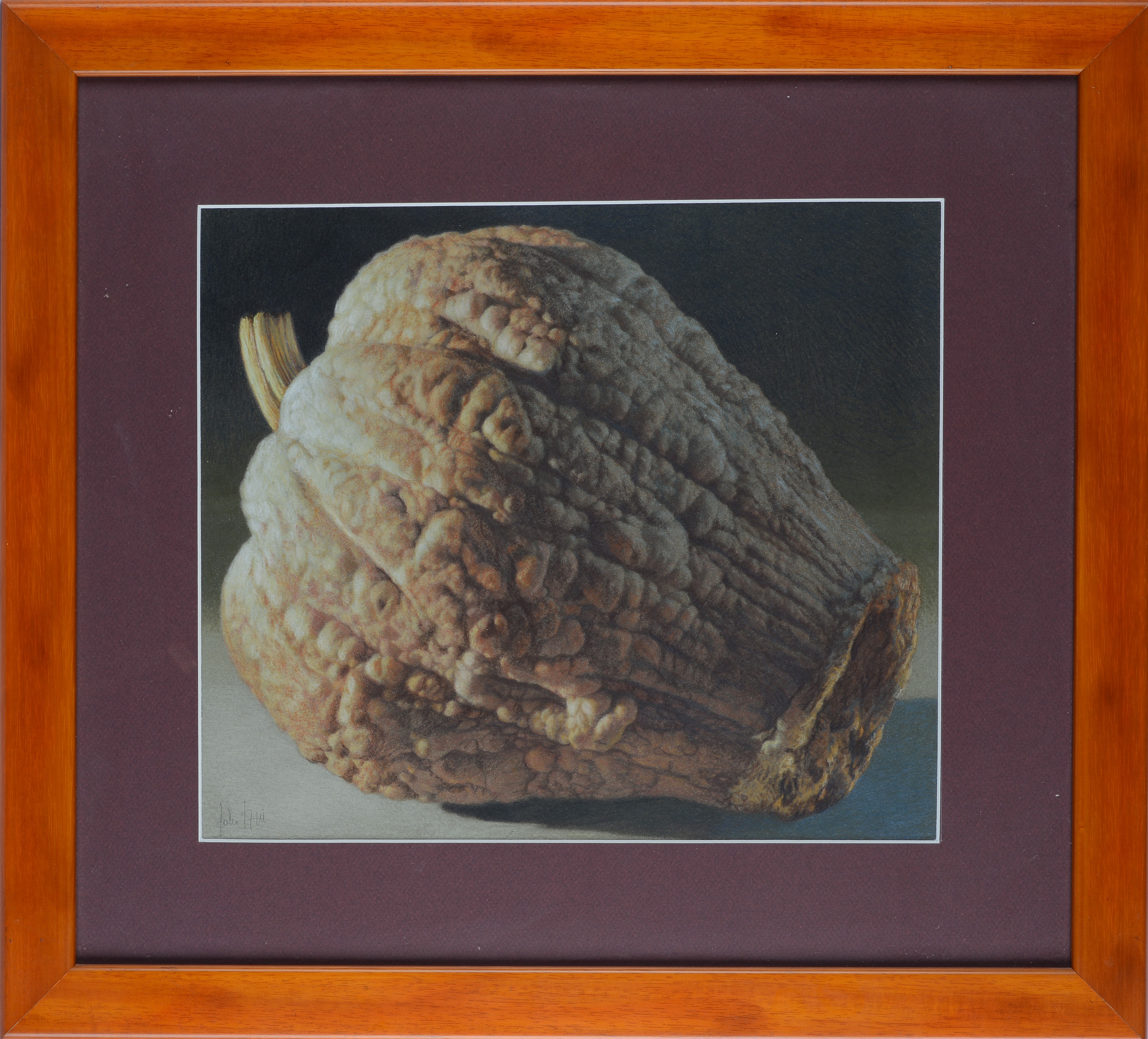Fabio Aguzzi - Zucca