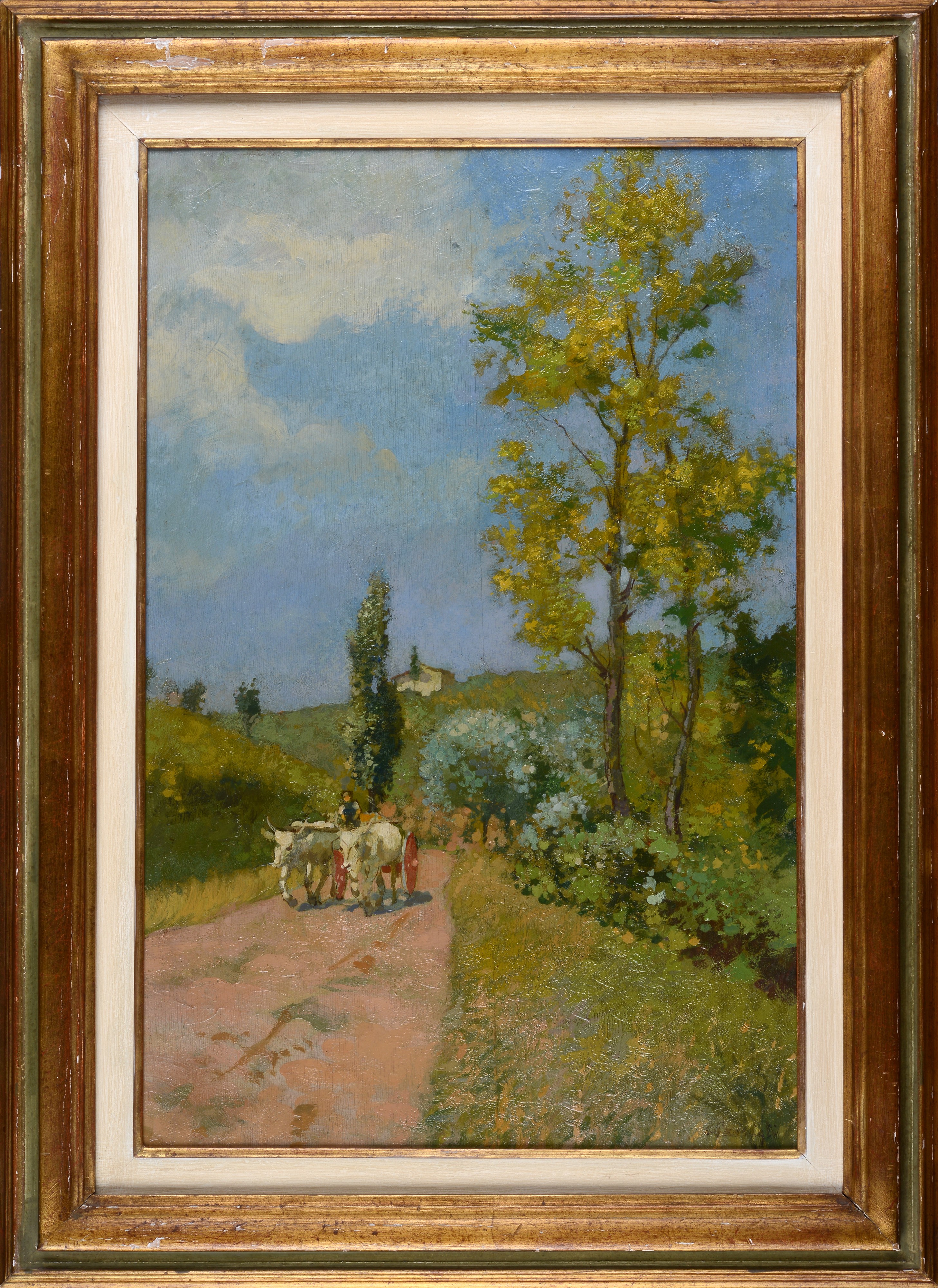 Strada con buoi