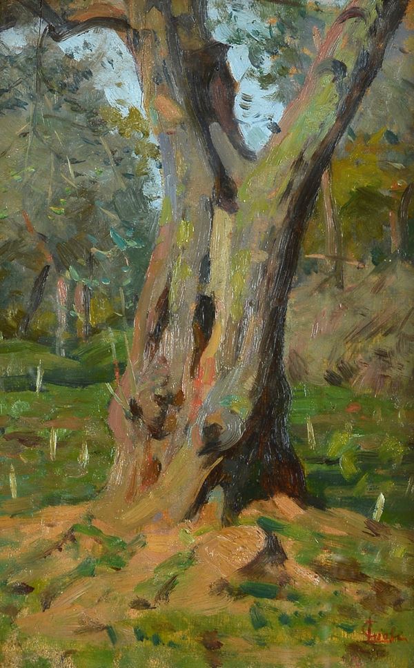 Luigi Gioli - Albero