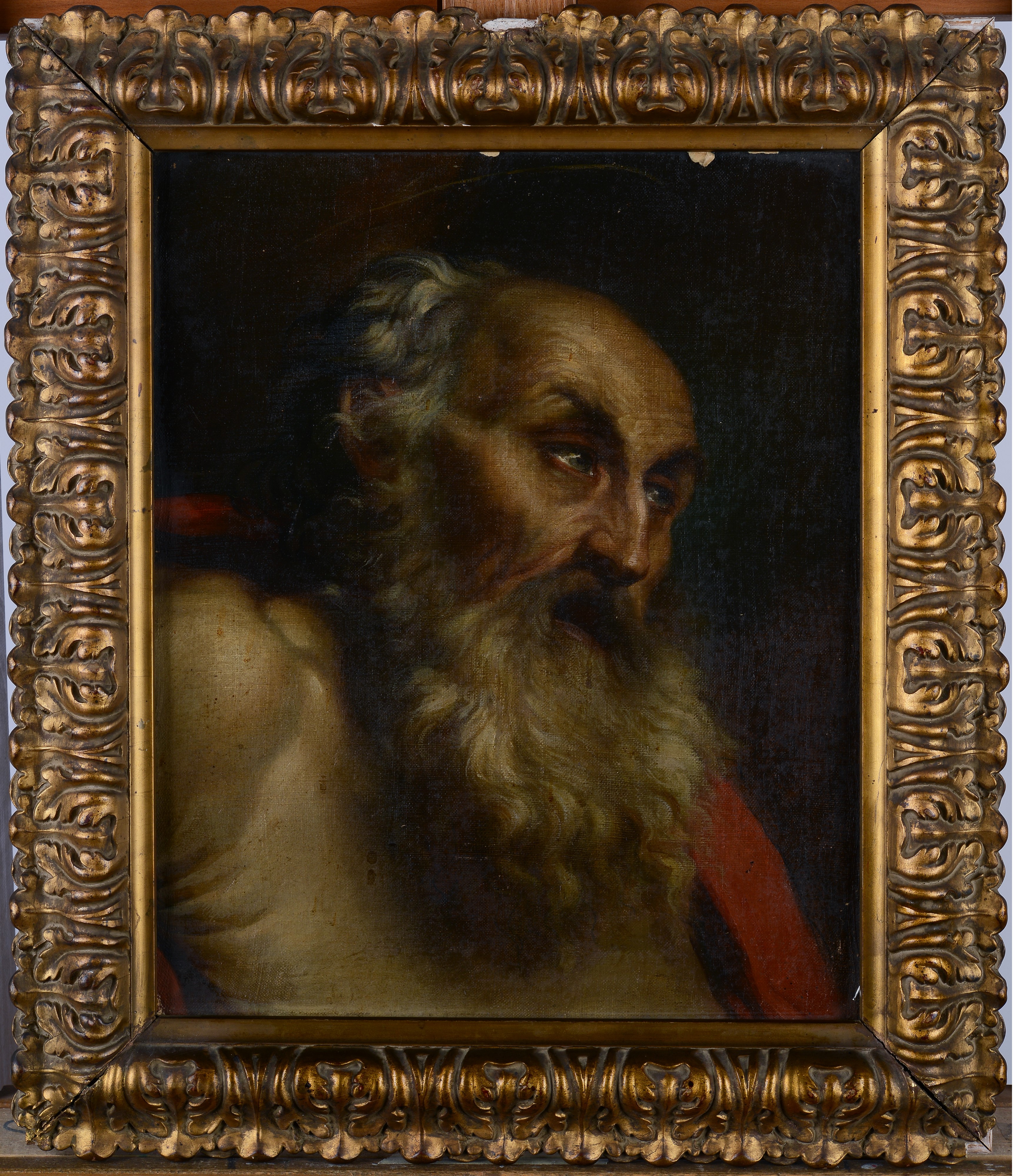 Testa di San Girolamo (dalla Comunione di San Girolamo di Domenichino)