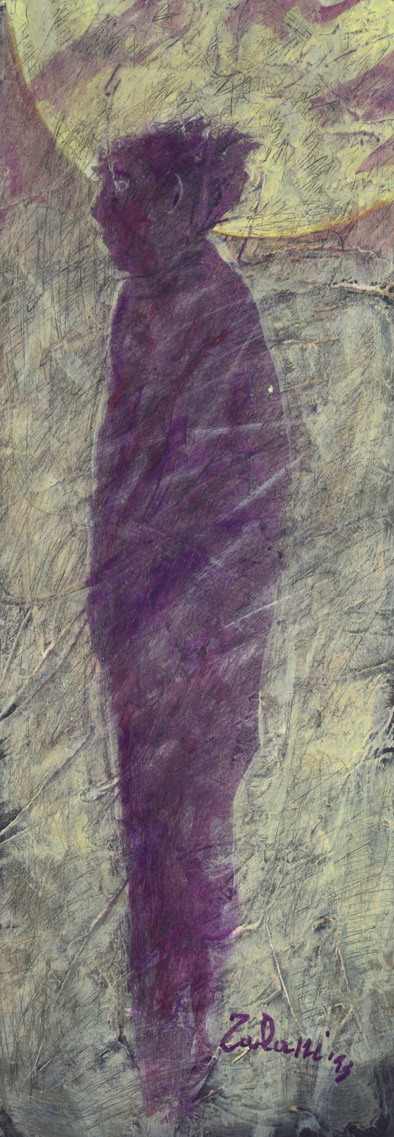 Anima viola