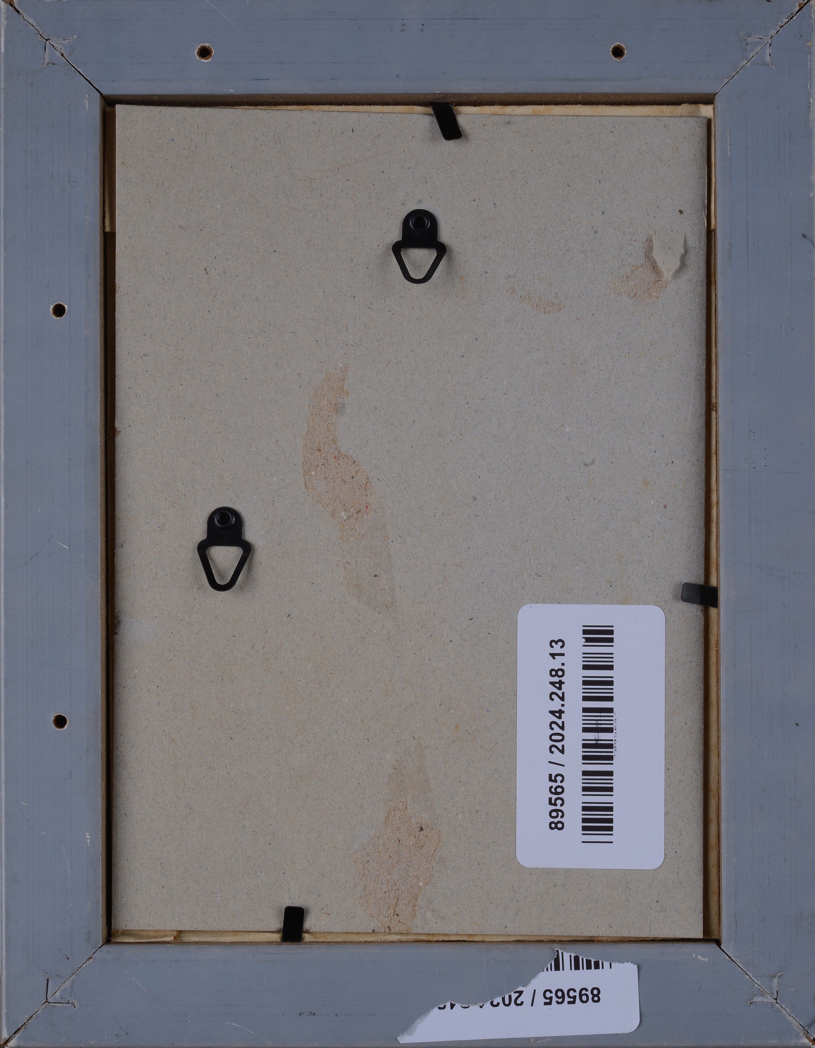 Ritratto del Cavaliere Ottavio Leoni