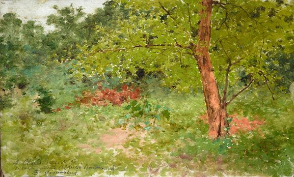 Undergrowth