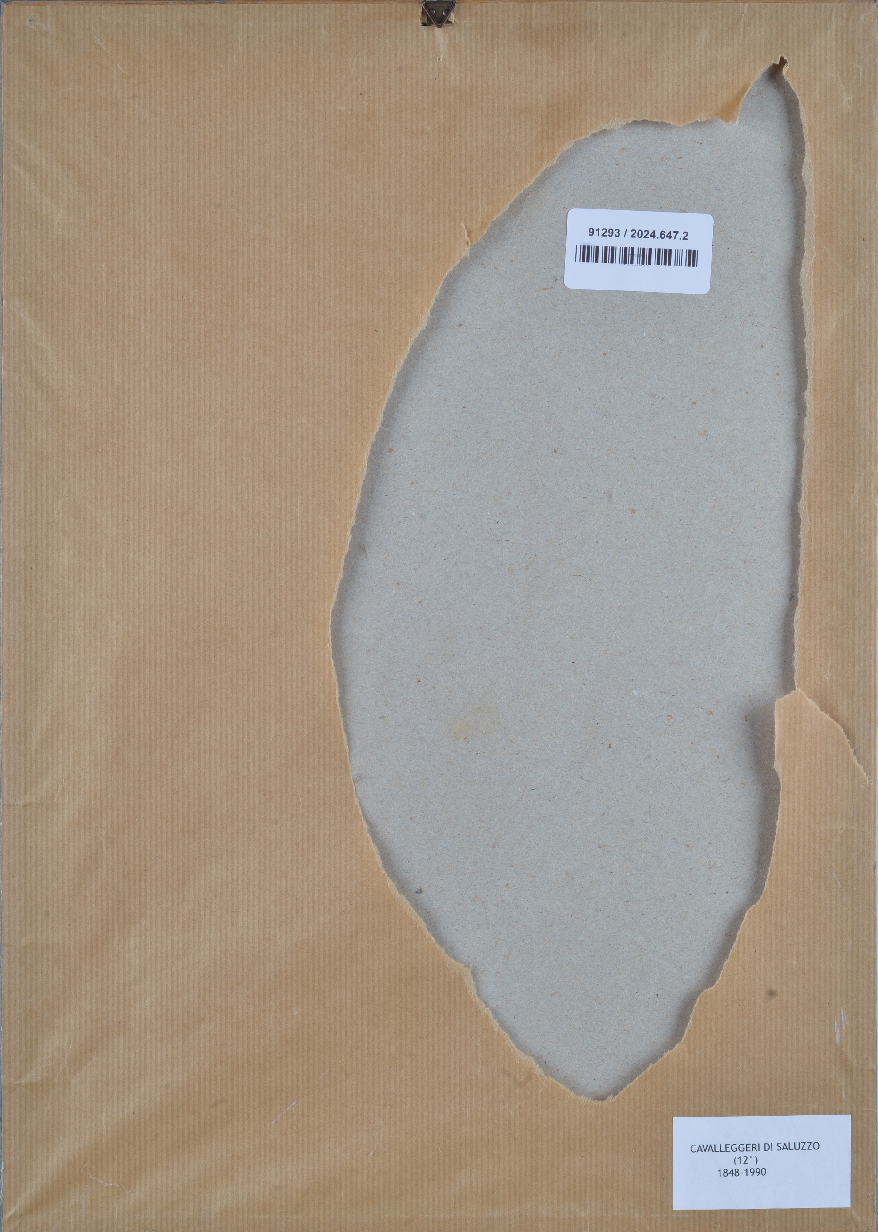 Caricatura cavalleggero di Saluzzo