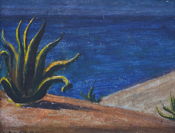 Walter Lazzaro - Agaves