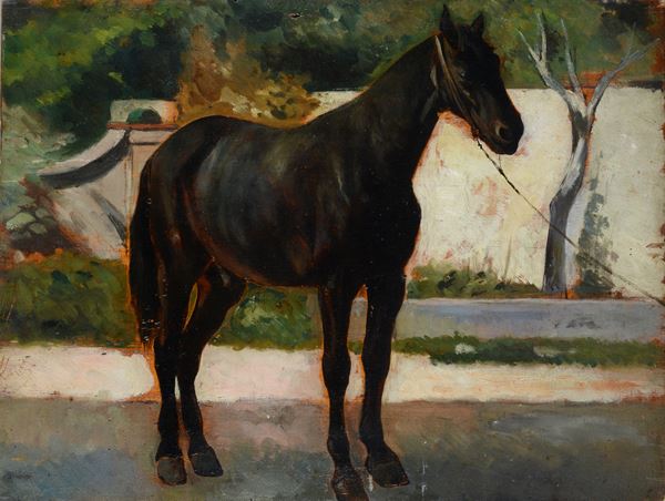 Black horse