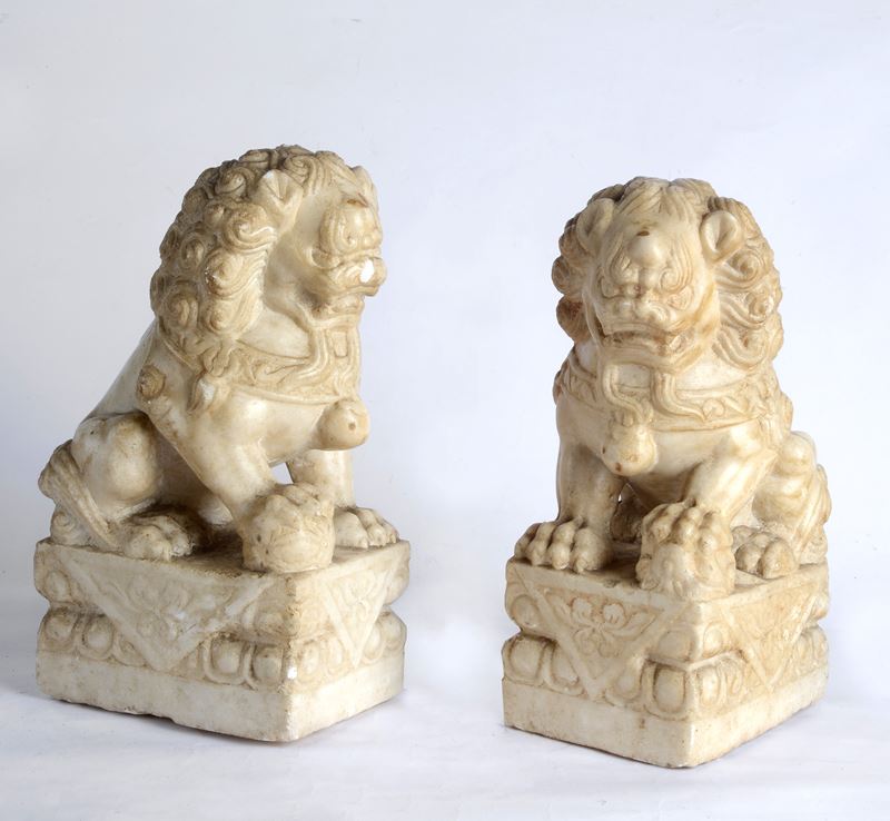 Coppia di cani di Pho