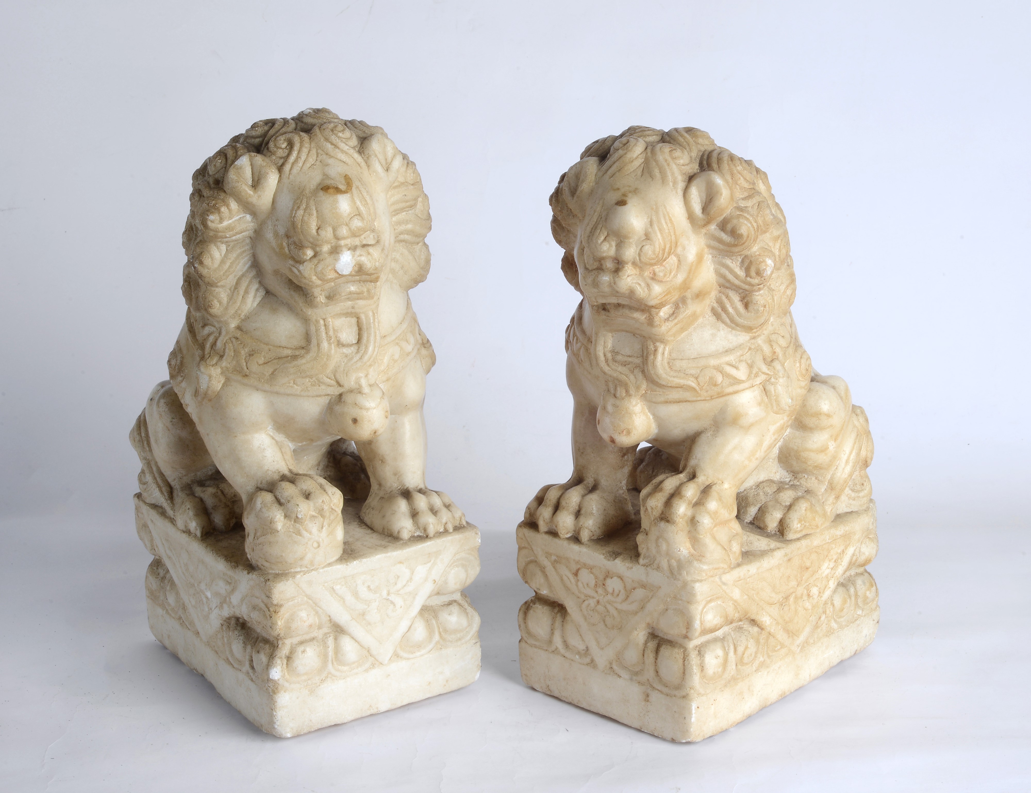 Coppia di cani di Pho