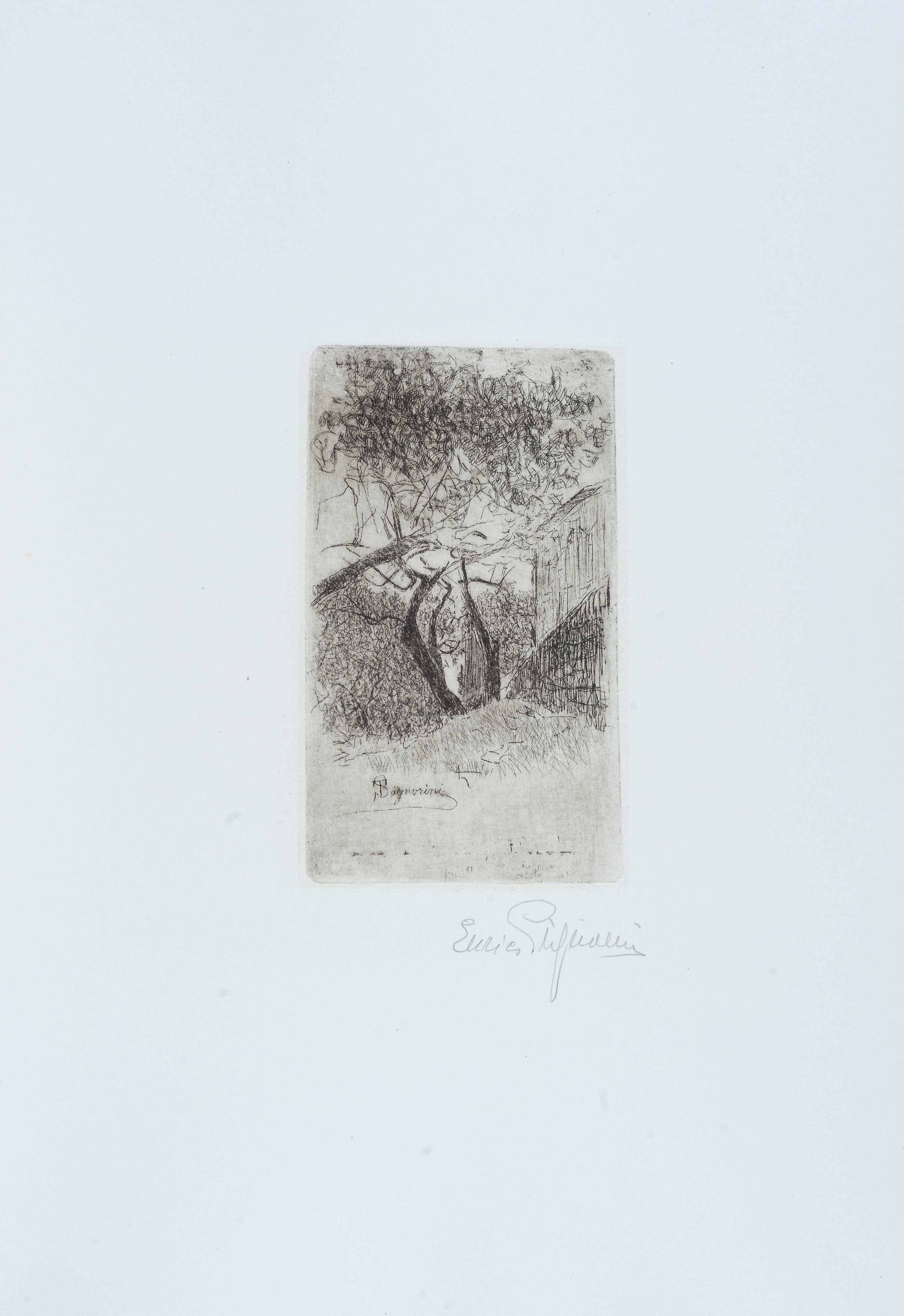 Il Mercato Vecchio di Firenze