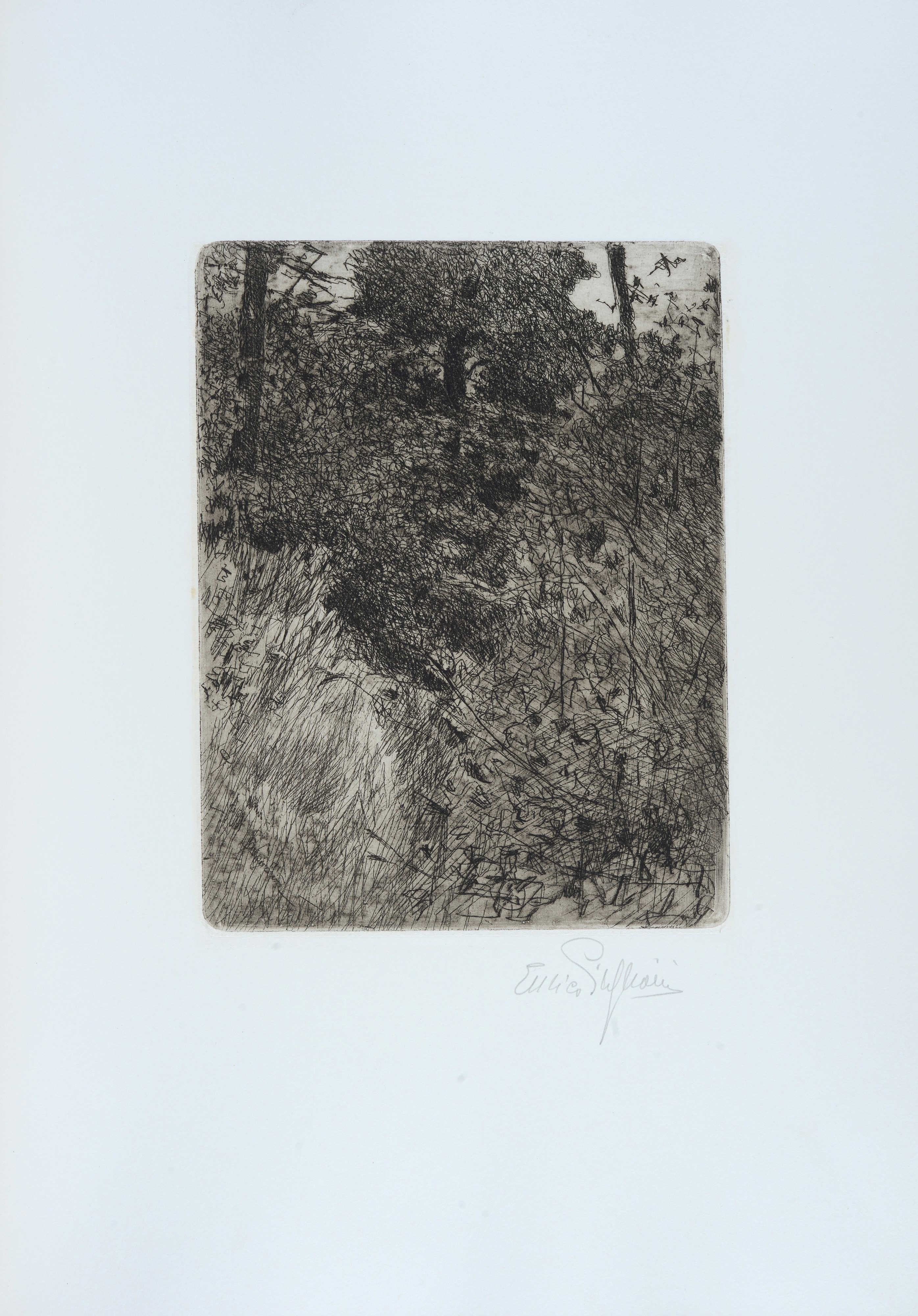 Il Mercato Vecchio di Firenze